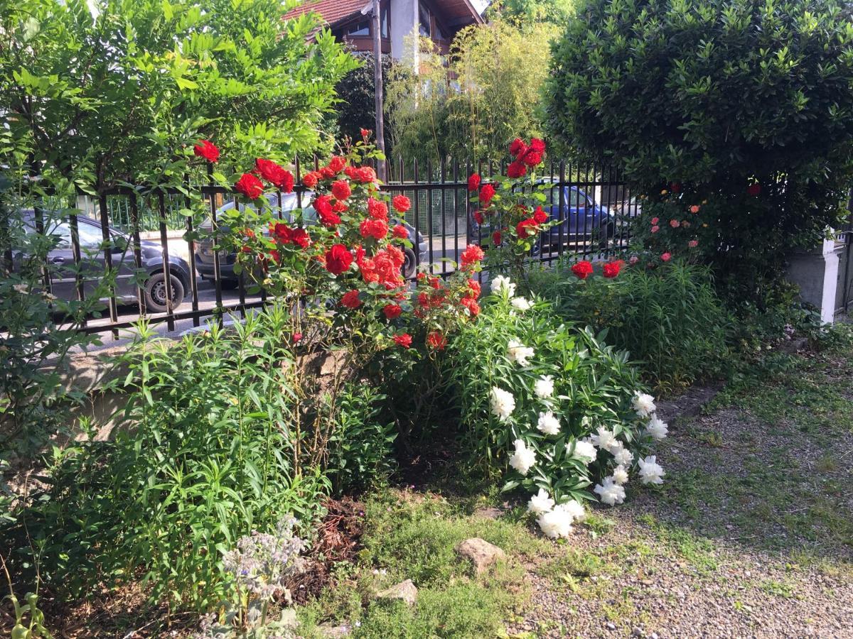 Le Catalpa - Centre Ville, Jardin & Parking! Annecy Luaran gambar